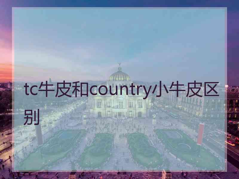 tc牛皮和country小牛皮区别