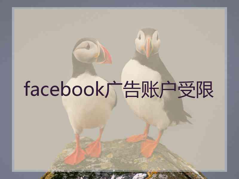 facebook广告账户受限