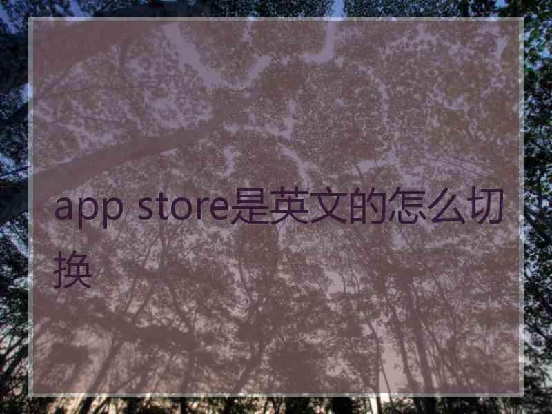 app store是英文的怎么切换