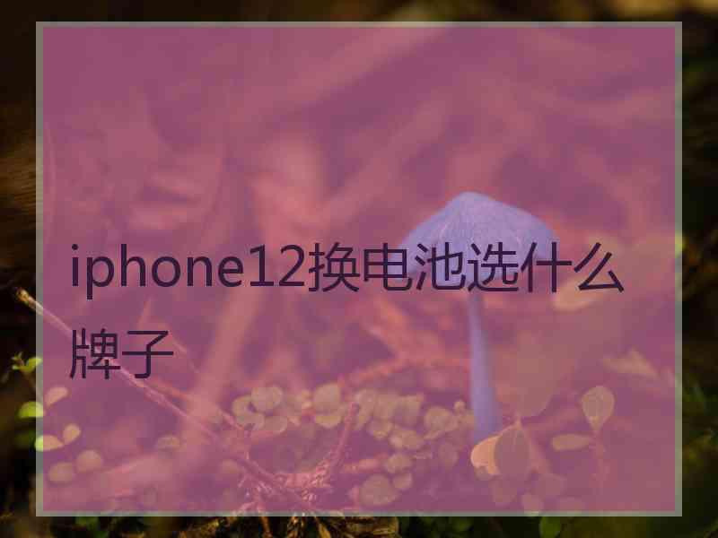 iphone12换电池选什么牌子