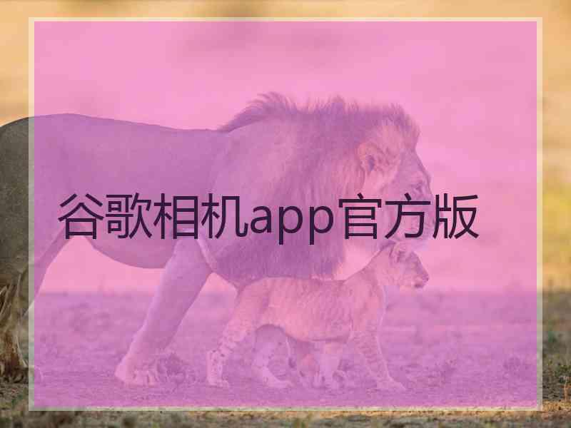 谷歌相机app官方版