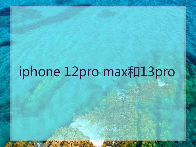 iphone 12pro max和13pro