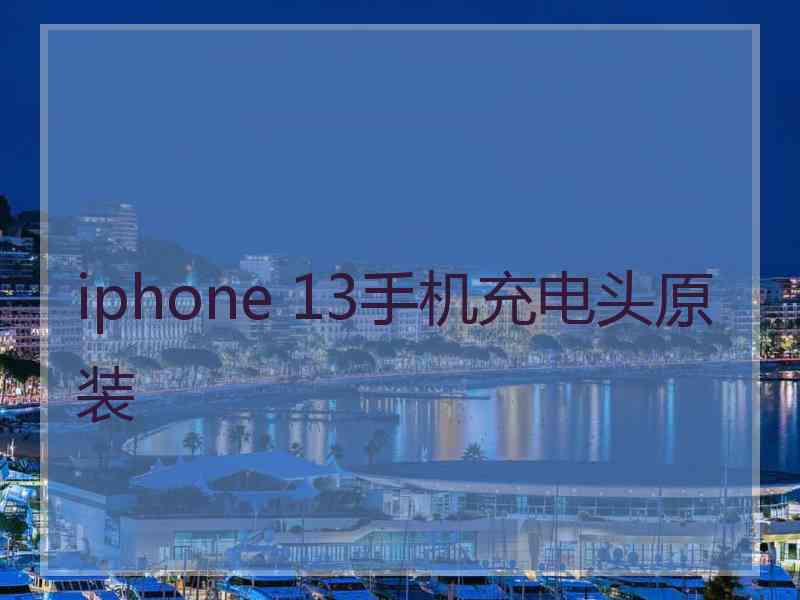 iphone 13手机充电头原装