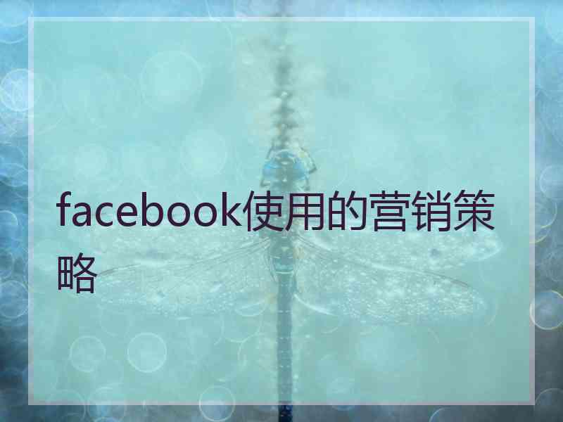 facebook使用的营销策略