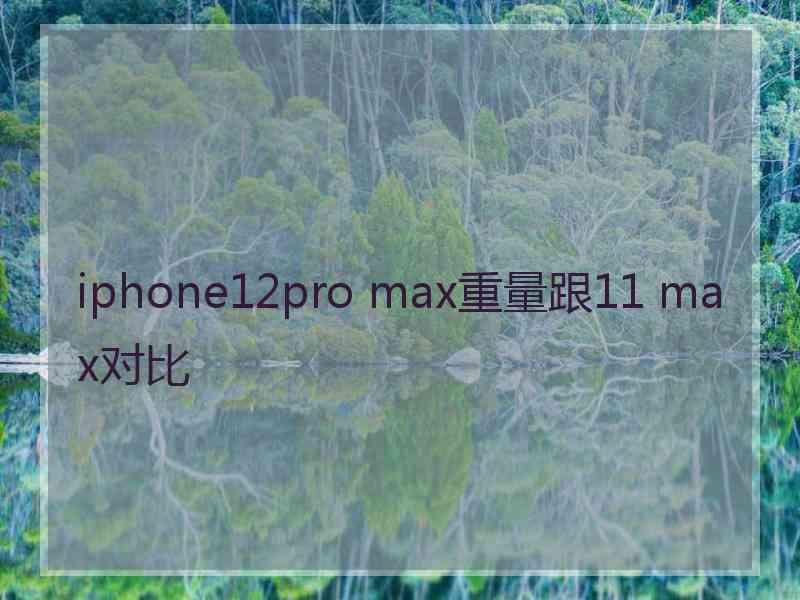 iphone12pro max重量跟11 max对比