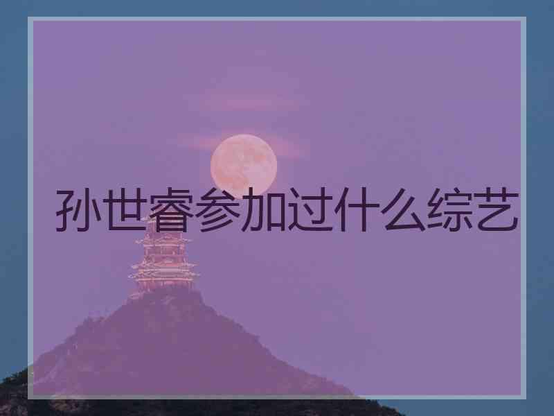 孙世睿参加过什么综艺