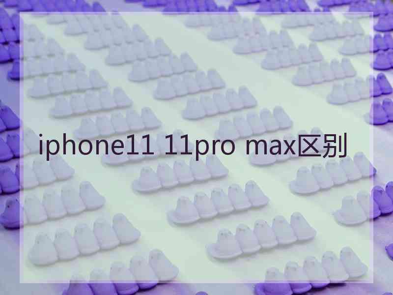 iphone11 11pro max区别