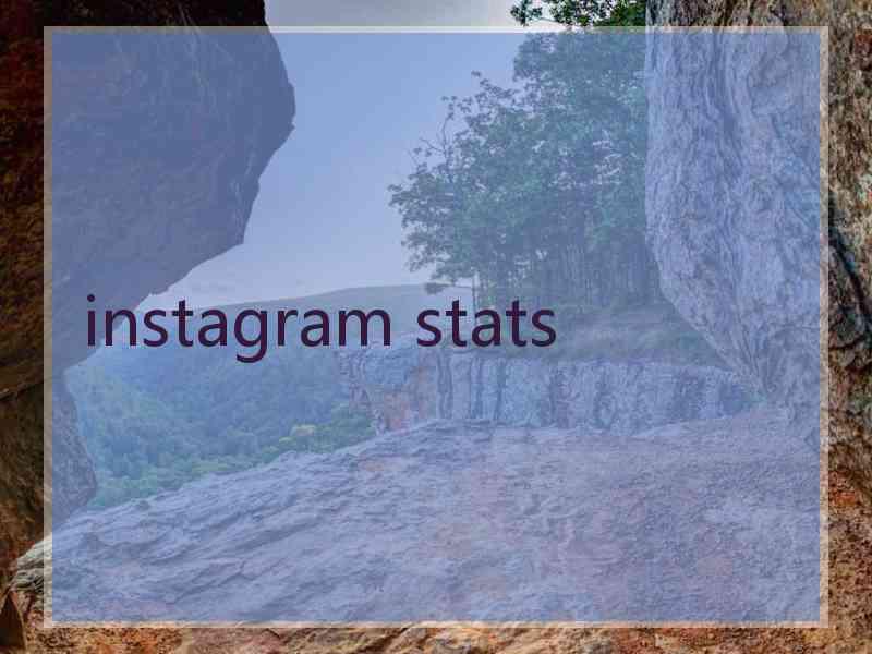 instagram stats