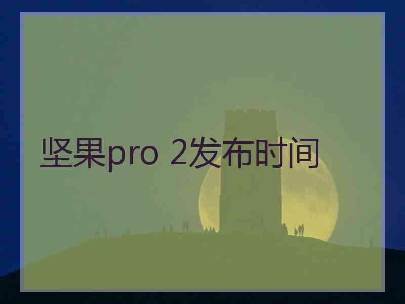 坚果pro 2发布时间