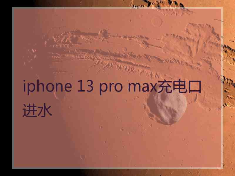 iphone 13 pro max充电口进水