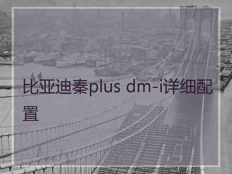 比亚迪秦plus dm-i详细配置