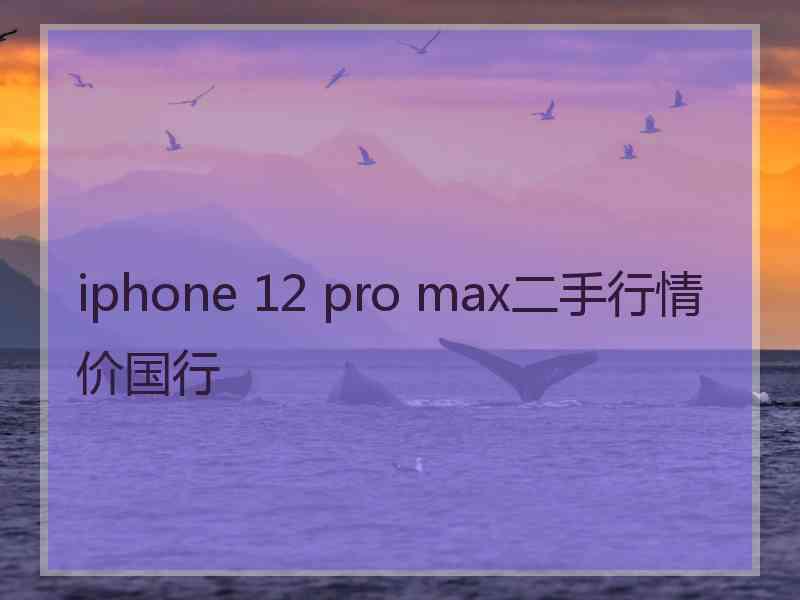 iphone 12 pro max二手行情价国行