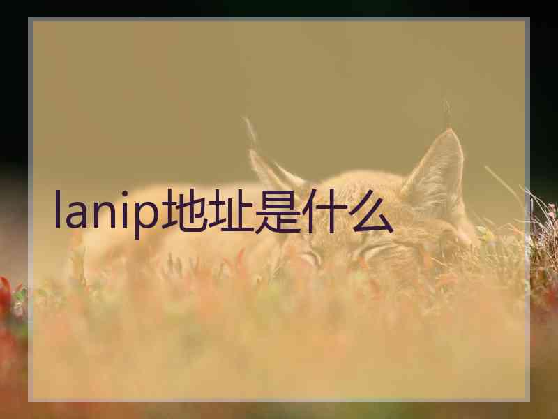 lanip地址是什么