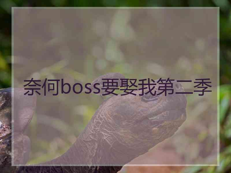 奈何boss要娶我第二季