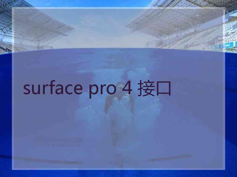 surface pro 4 接口