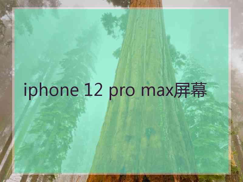 iphone 12 pro max屏幕