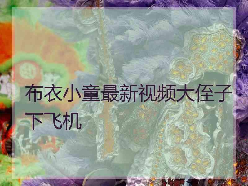 布衣小童最新视频大侄子下飞机