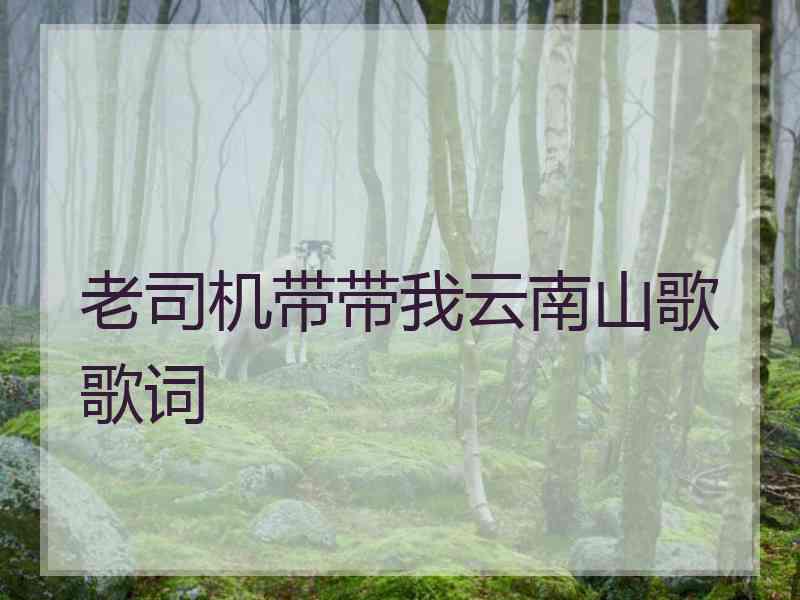 老司机带带我云南山歌歌词