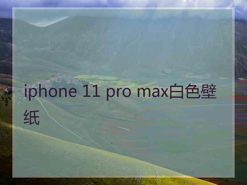 iphone 11 pro max白色壁纸