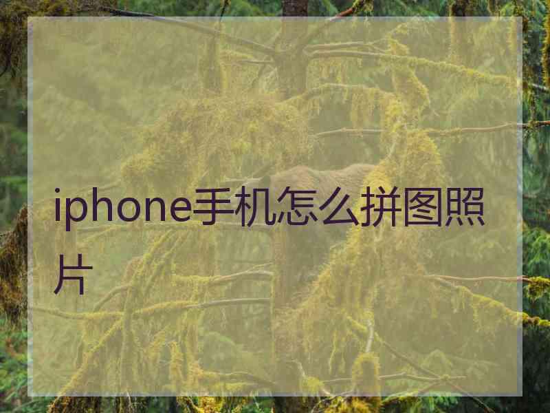 iphone手机怎么拼图照片