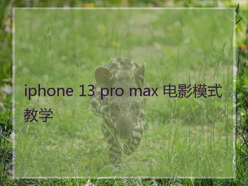 iphone 13 pro max 电影模式教学