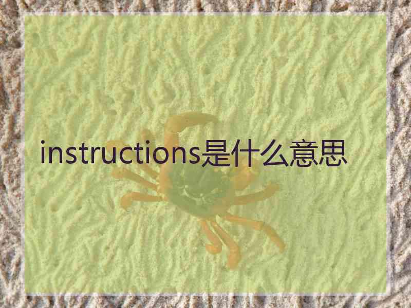 instructions是什么意思