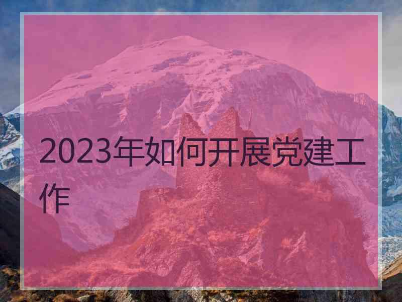 2023年如何开展党建工作