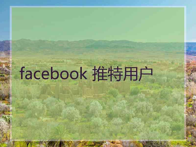 facebook 推特用户