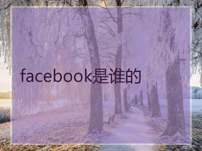 facebook是谁的