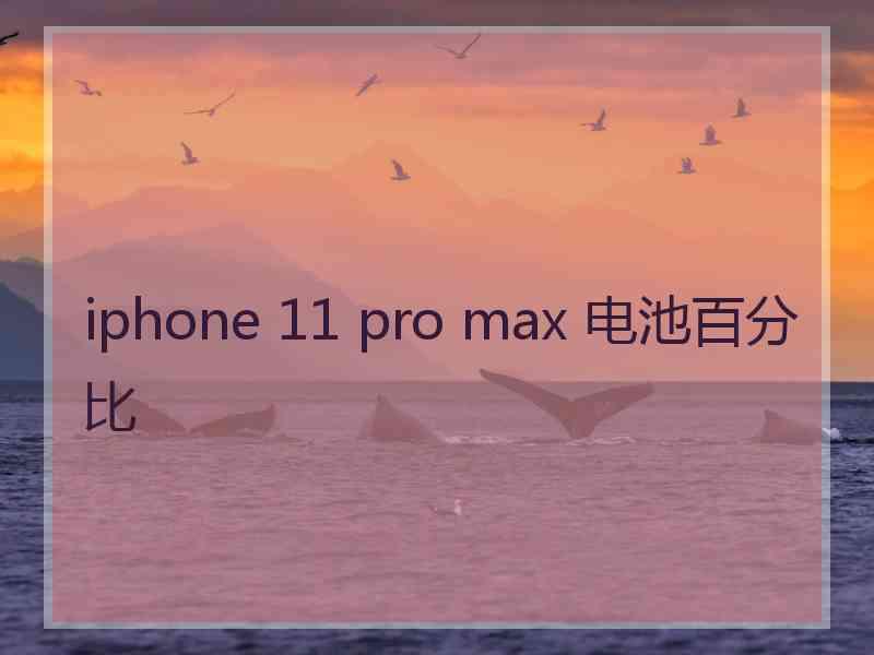 iphone 11 pro max 电池百分比