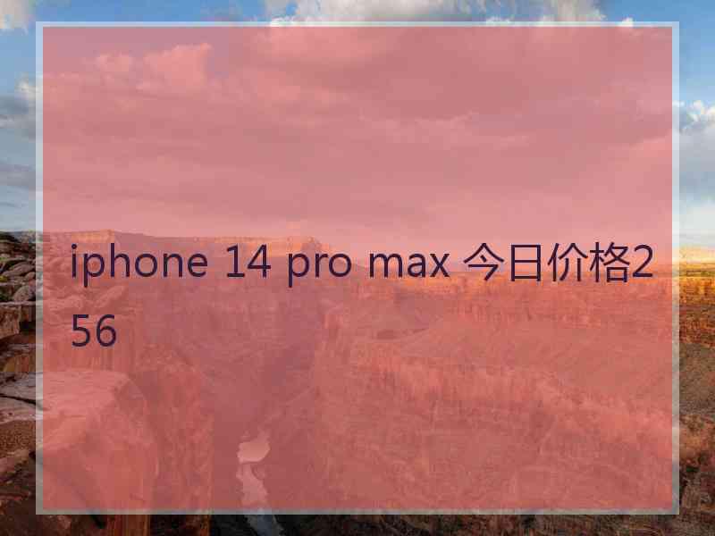 iphone 14 pro max 今日价格256