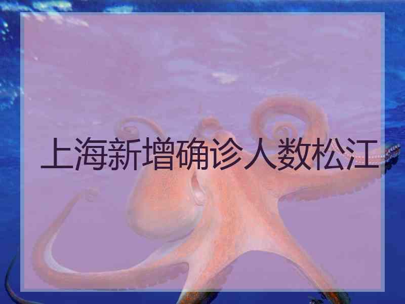 上海新增确诊人数松江