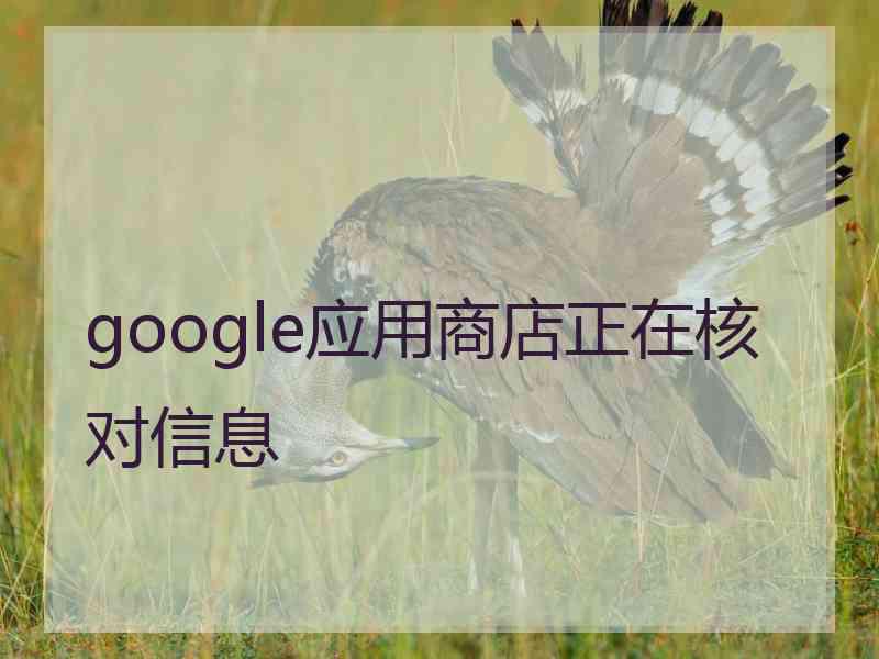 google应用商店正在核对信息