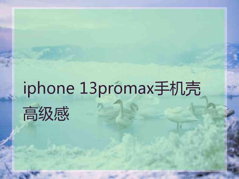 iphone 13promax手机壳高级感