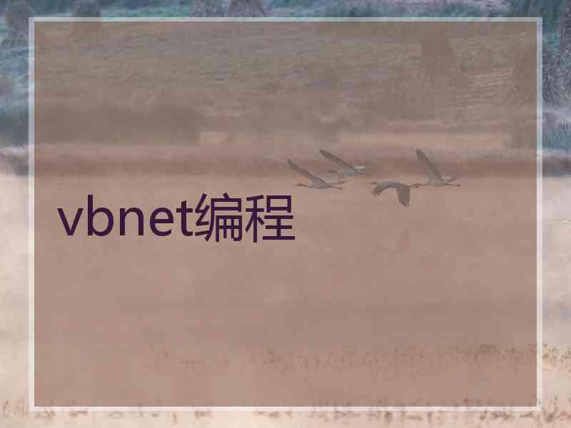 vbnet编程