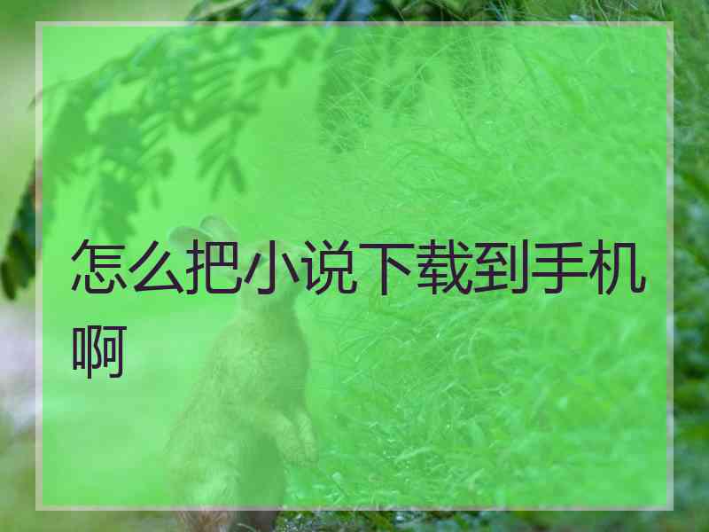 怎么把小说下载到手机啊