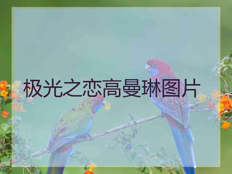 极光之恋高曼琳图片