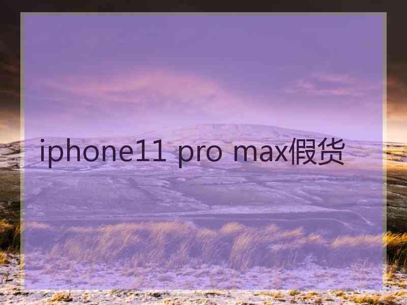 iphone11 pro max假货