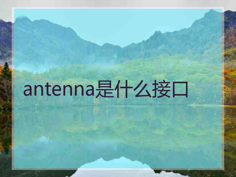 antenna是什么接口