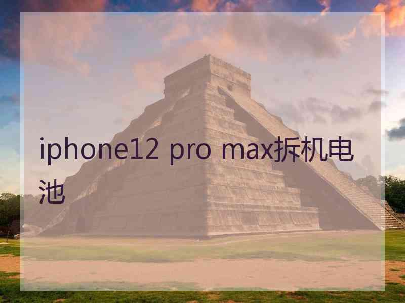 iphone12 pro max拆机电池