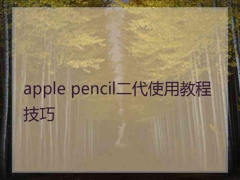 apple pencil二代使用教程技巧