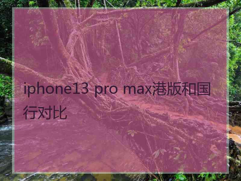 iphone13 pro max港版和国行对比