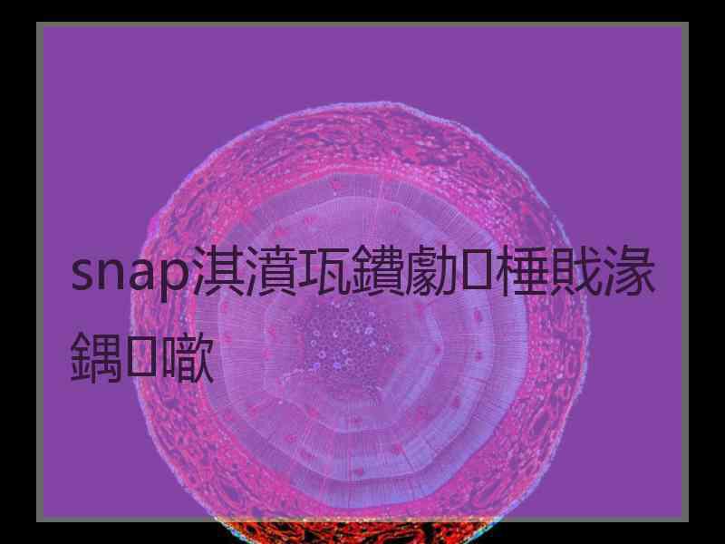 snap淇濆瓨鐨勮棰戝湪鍝噷