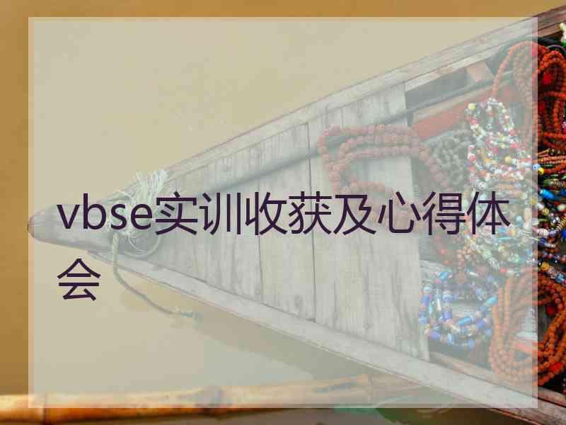 vbse实训收获及心得体会