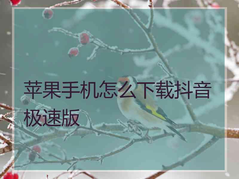 苹果手机怎么下载抖音极速版