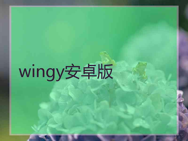 wingy安卓版