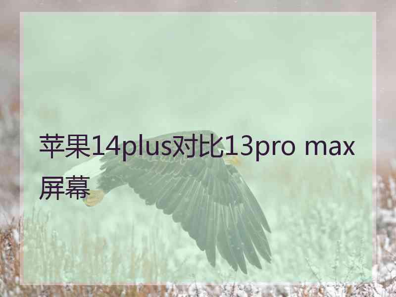 苹果14plus对比13pro max屏幕