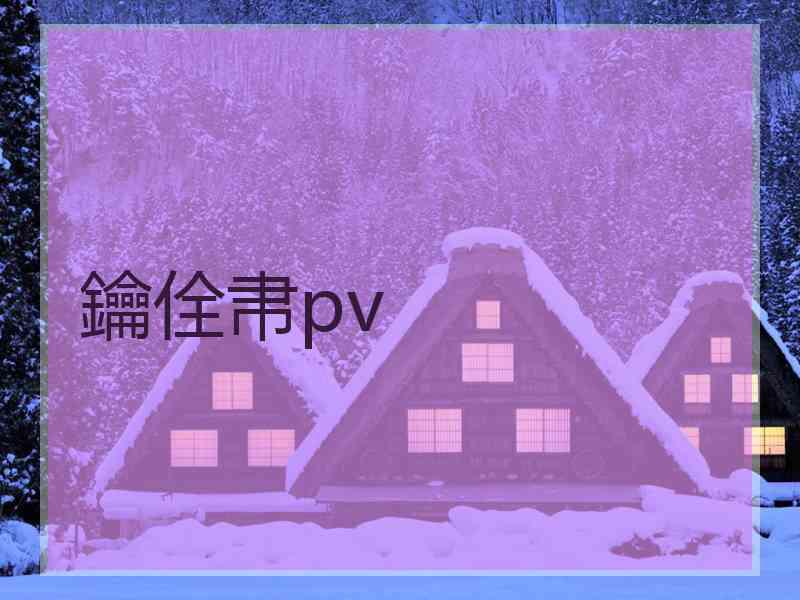 鑰佺帇pv