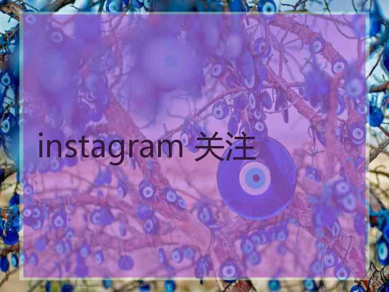 instagram 关注