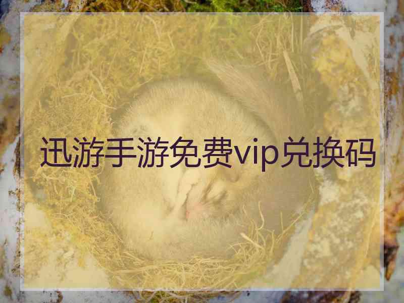 迅游手游免费vip兑换码